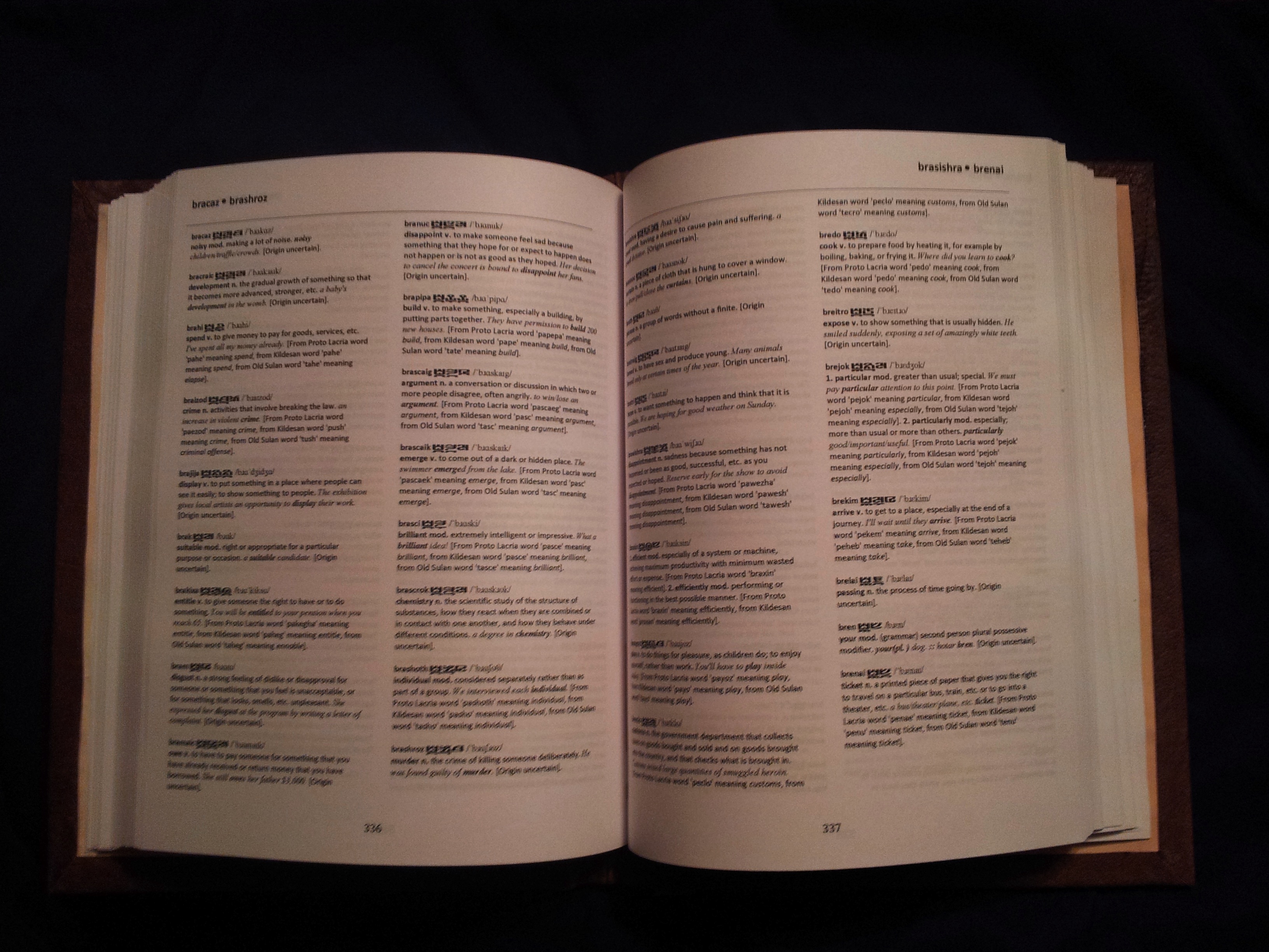 Open pages of the Secret King constructed-language dictionary